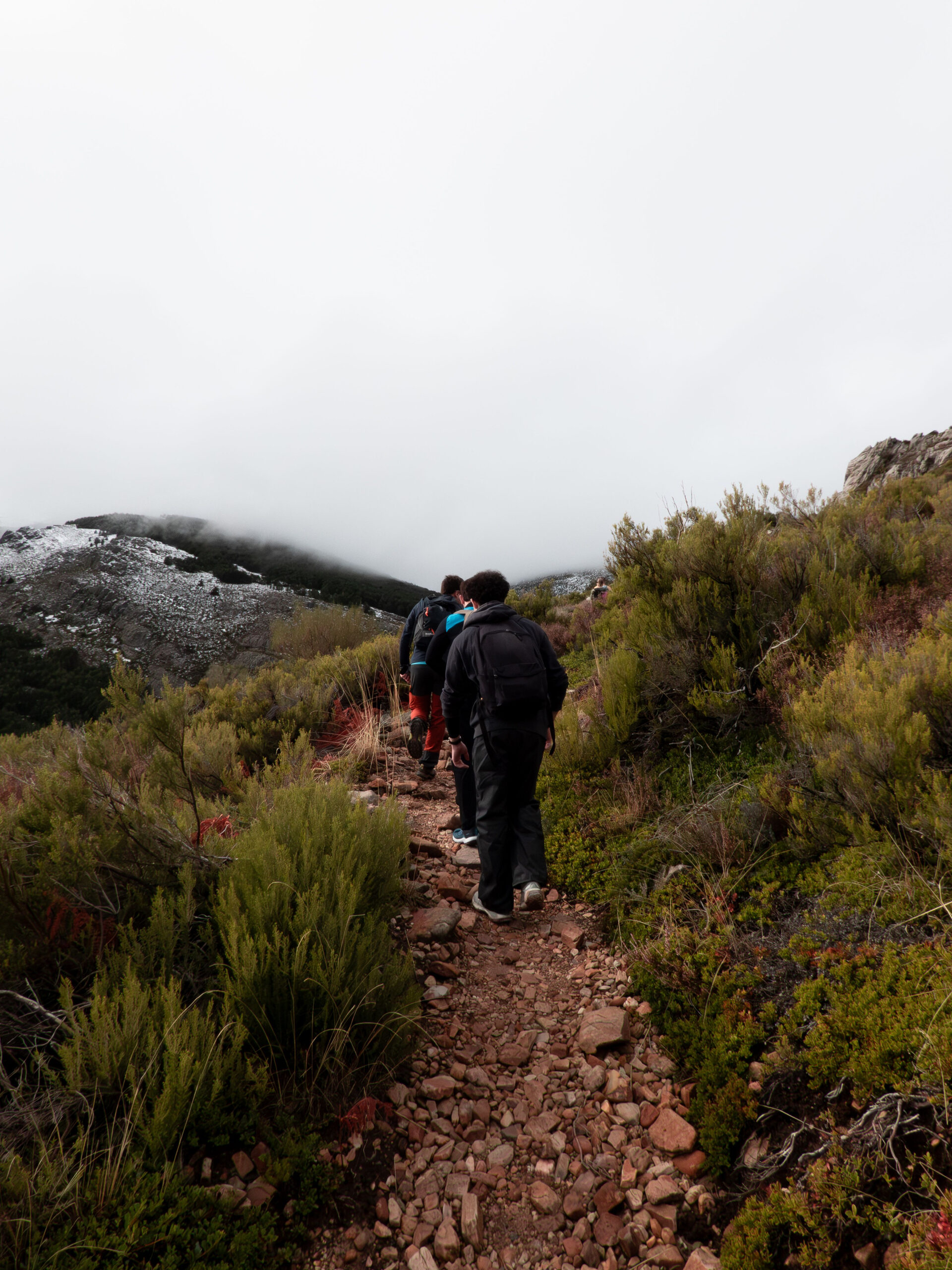 Hikers on a rocky mountain trail between low bushes, under cloud
