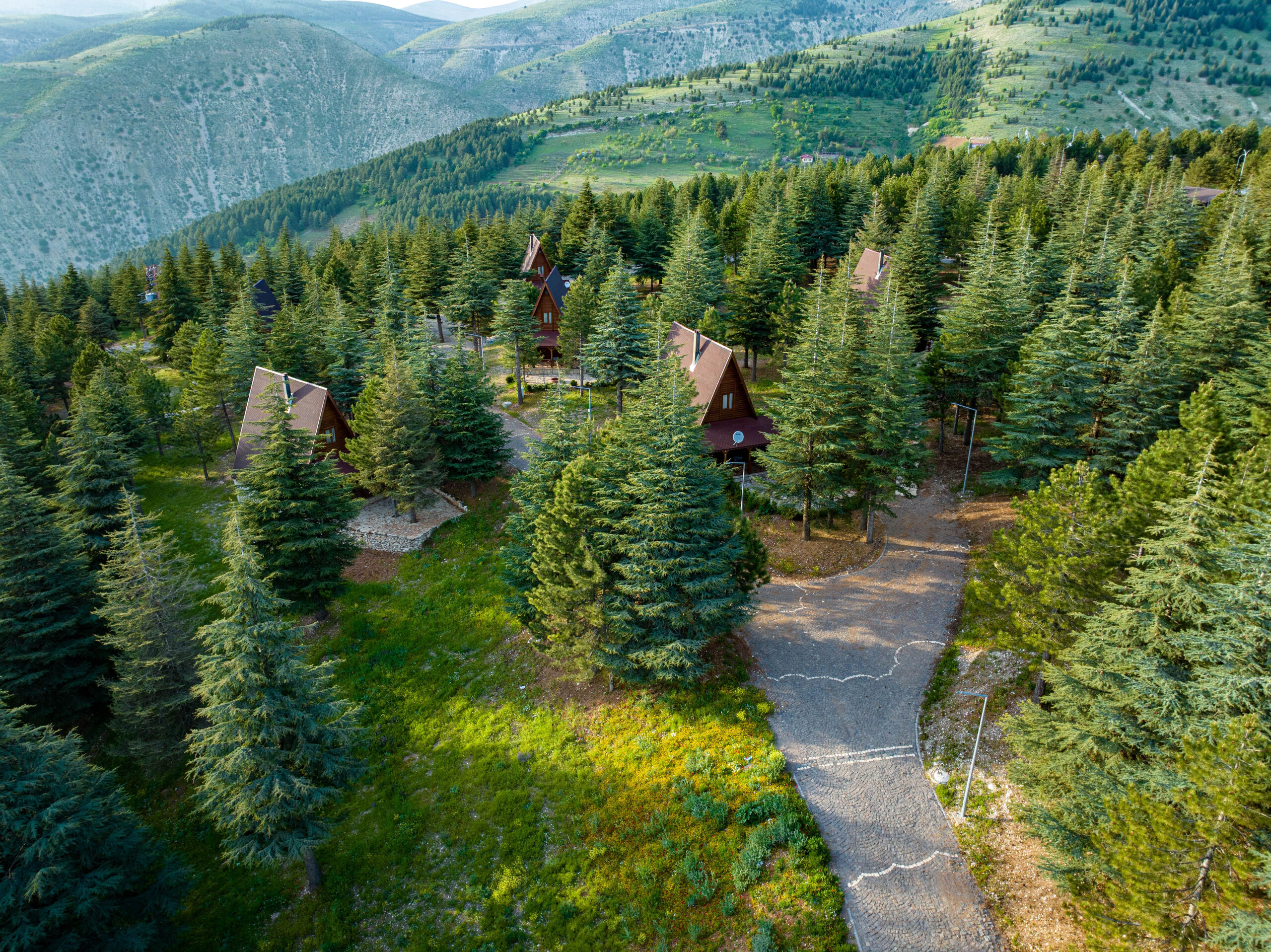 Aerial view of A-frame houses among fir trees on a green hillside, with mountains behind